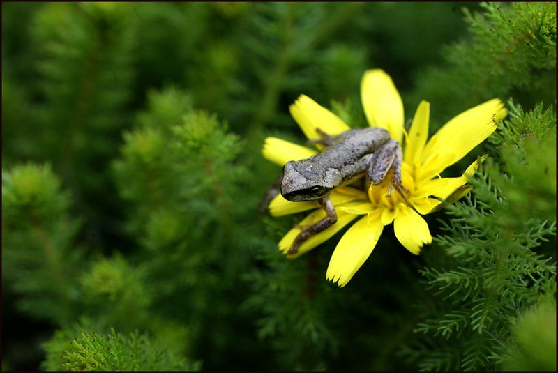 A little sign of a healthy ecosystem. Photo credit: Sandy Scheltema Photography