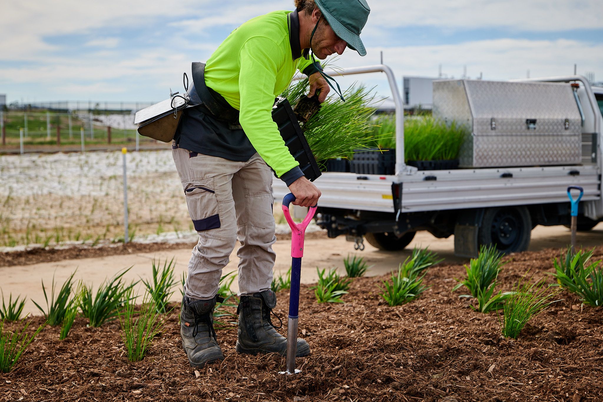 Regeneration at work. Photo credit: Ben Mulligan